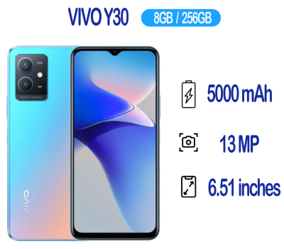Vivo Y30 Ram 8GB/256GB